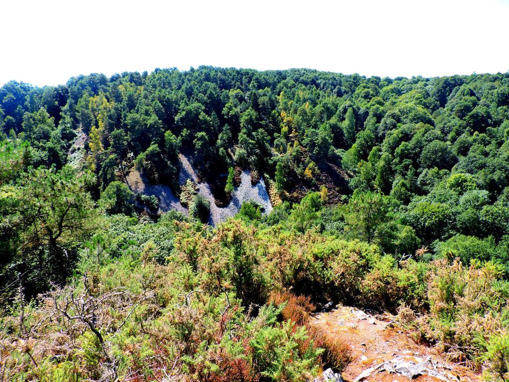 Gite Le Bourgneuf Fresnay-sur-Sarthe Exterior foto